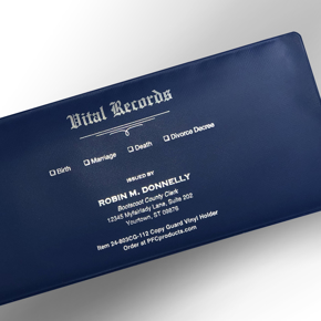 Picture for category Vinyl