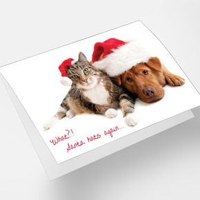 Picture for category Christmas Cards