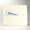 Picture of Trifold Return > 15 Sheets