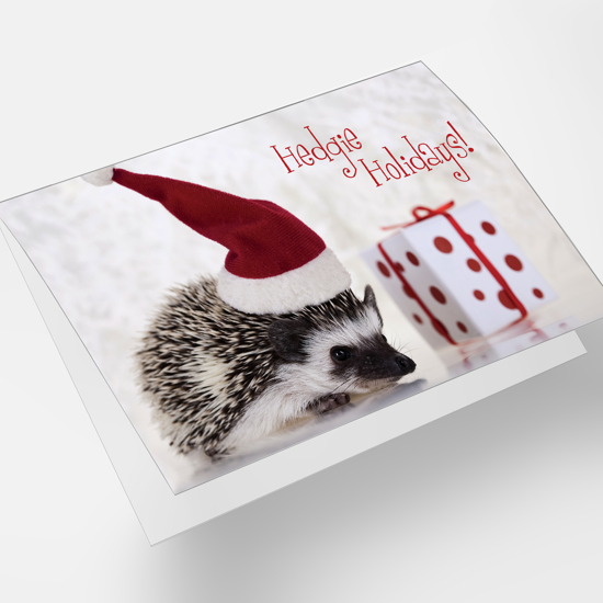 Picture of Hedgie Holidays