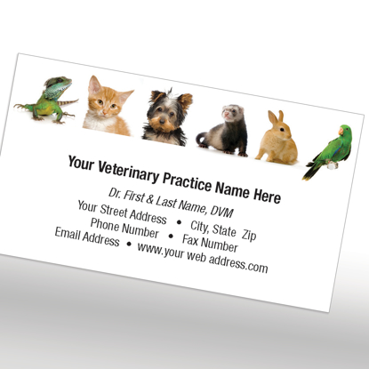 Veterinary Folders, Pet Immunization Record Holders | PFC Products